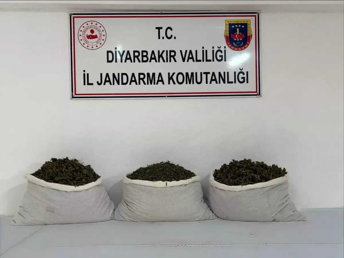 Diyarbakır'da Uyuşturucu Operasyonu: 19 Şüpheli Yakalandı