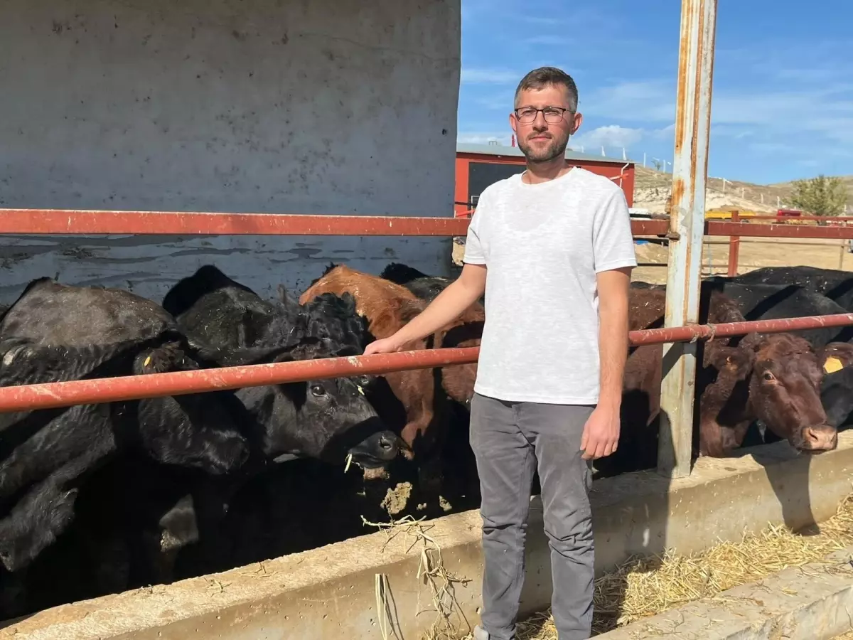 Kırsalda Bereket Projesi ile Hayvancılığa Destek