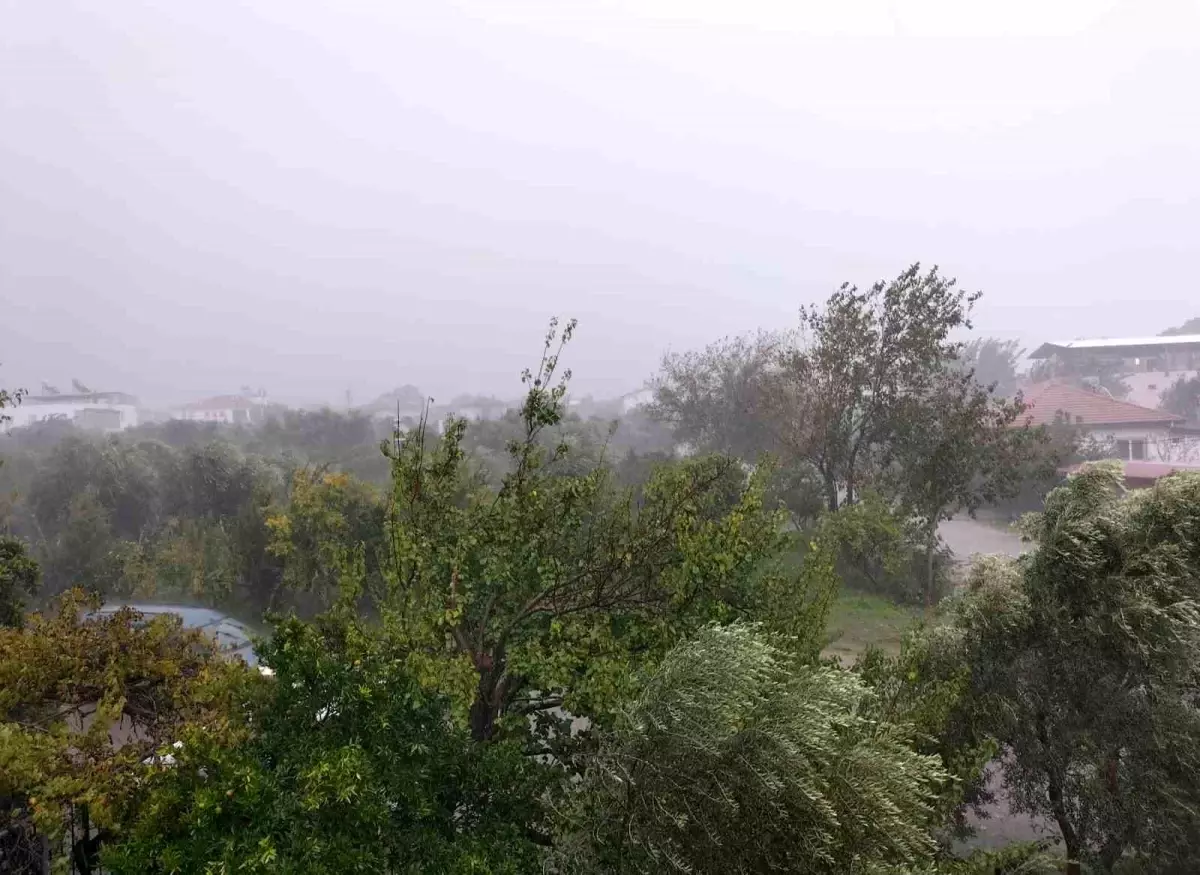 Köyceğiz'de Fırtına ve Sağanak Yağış Hayatı Olumsuz Etkiledi