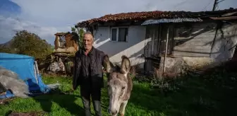 Sındırgı'da Depremde Eşeğini Kurtaran Adamın Duygusal Anları