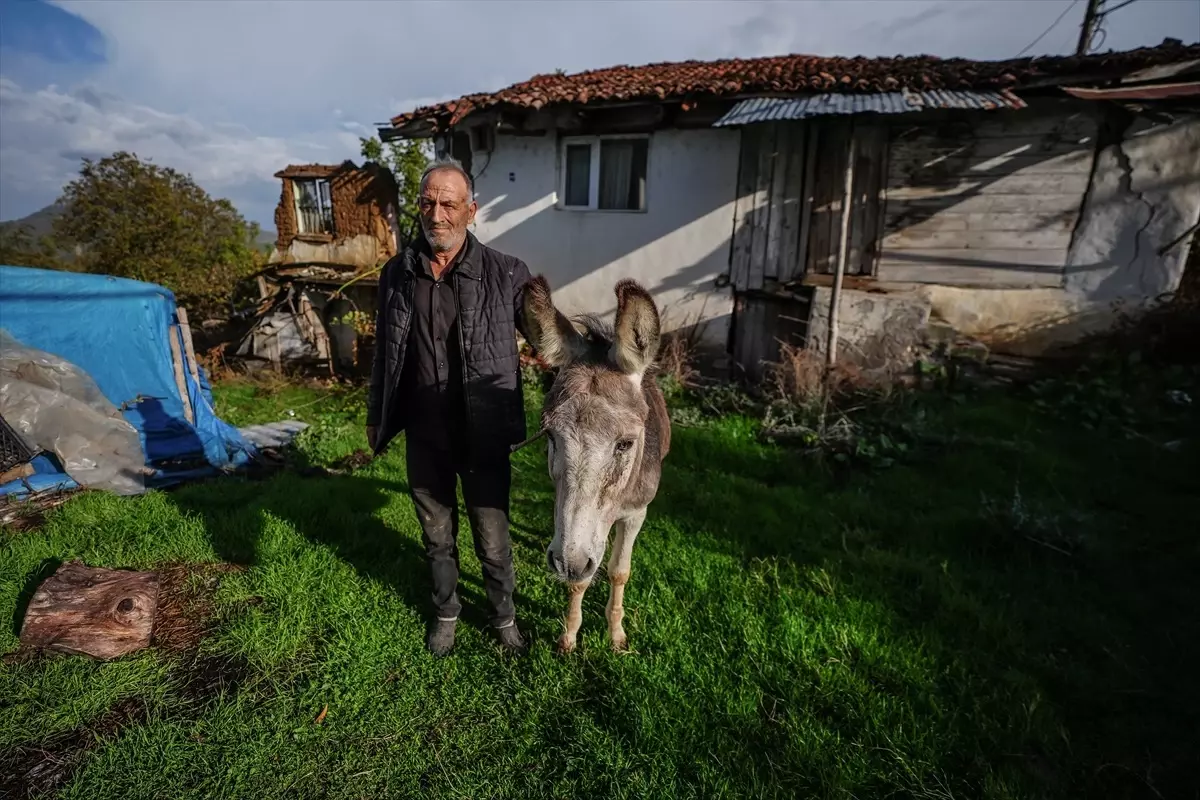 Sındırgı'da Depremde Eşeğini Kurtaran Adamın Duygusal Anları