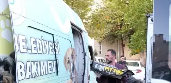 Sorgun'da Atık Yağlarla Sokak Köpeklerine Mama Sağlanıyor