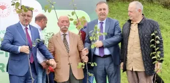 Trabzon'da Yerel Meyve Türlerine Fidan Dağıtımı Yapıldı