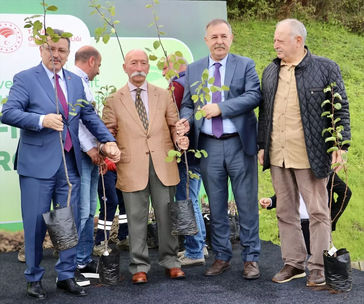 Trabzon'da Yerel Meyve Türlerine Fidan Dağıtımı Yapıldı
