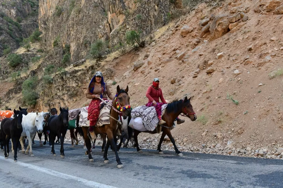Göçerler Yaz Mevsiminin Ardından Dönüş Yolculuğuna Çıktı