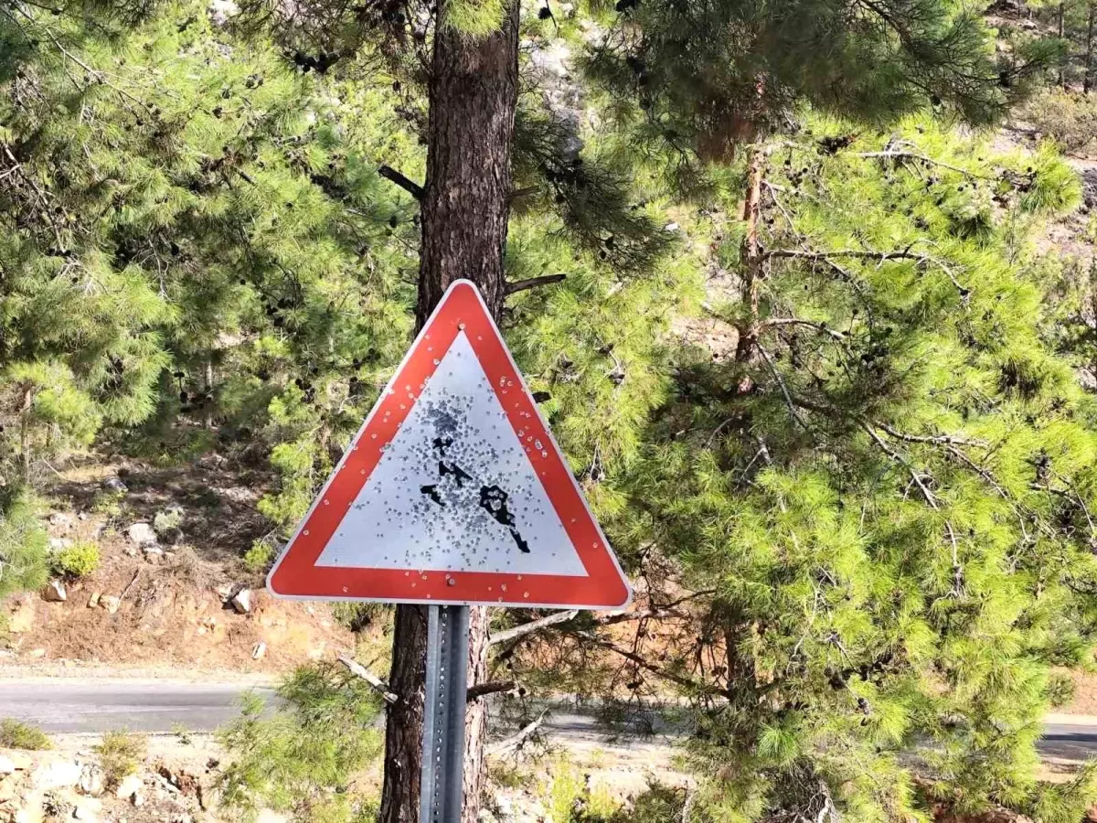 Mersin Bozyazı'da Trafik Levhaları Kurşunlandı