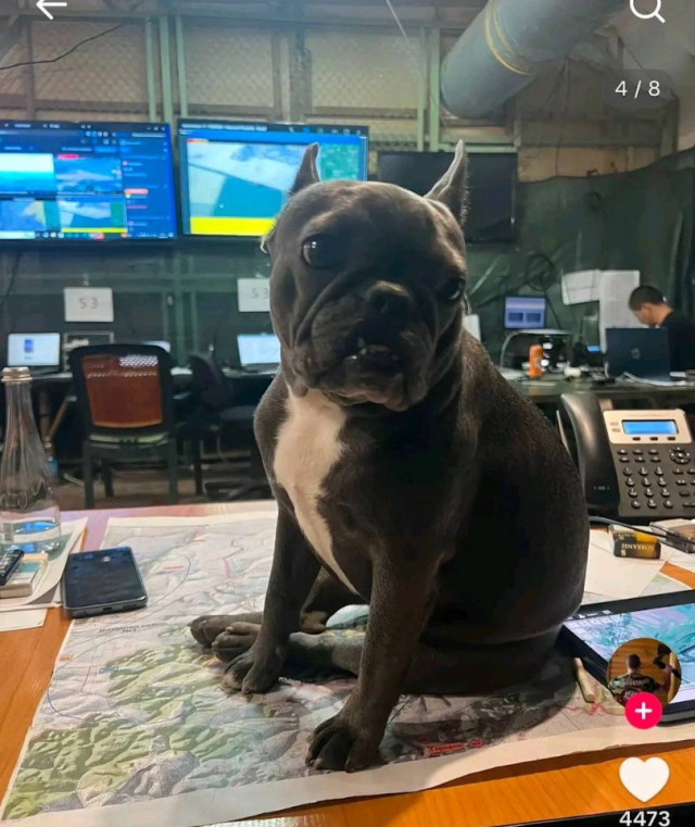 Those who looked at the photo immediately noticed! Scandalous mistake by the Ukrainian commander