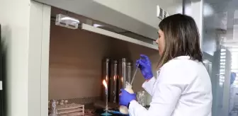 Prof. Dr. Gonca Alak'ın Beslenme Torbasında Renk Sensörü İnovasyonu Tescillendi