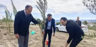 Gölova'da Yürüyüş Yolu Projesi Devam Ediyor