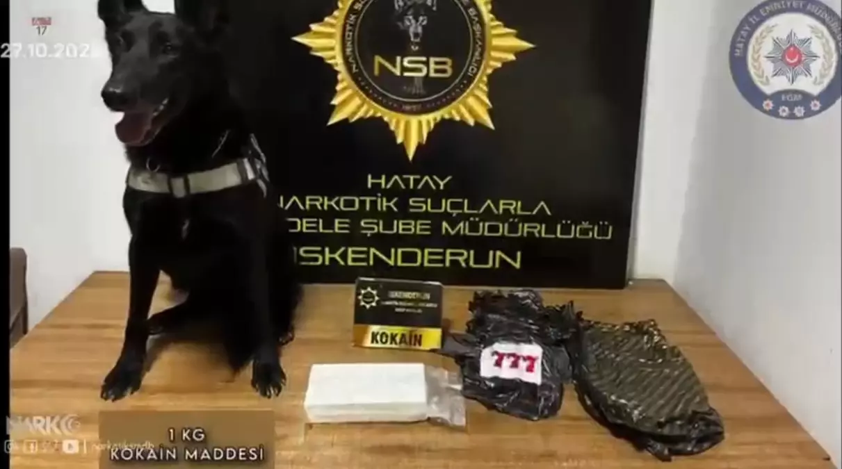 Hatay'da Uyuşturucu Operasyonu: 5.5 Milyon TL Değerinde Kokain Ele Geçirildi
