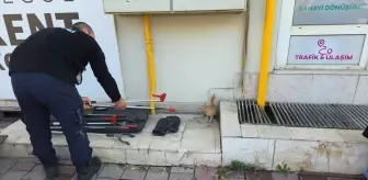 Mazgal Altında Mahsur Kalan Kedi Yavrusu Kurtarıldı