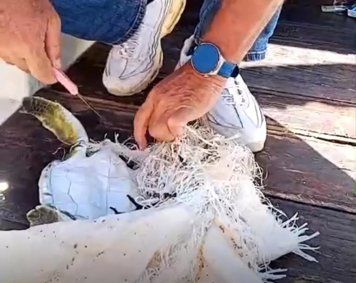Marmaris'te Çevreci İkili, Yavru Deniz Kaplumbağasını Kurtardı