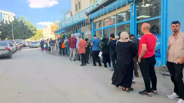 The Cheap Anchovy Campaign in Şanlıurfa Delighted Citizens