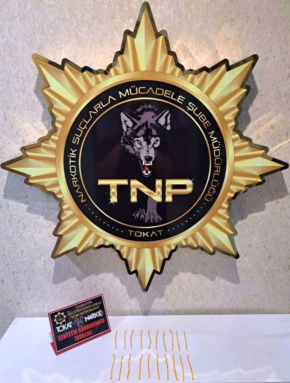 Tokat'ta Narkotik Operasyonu: 500 İçimlik Bonzai Ele Geçirildi