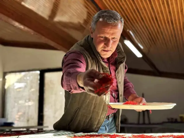 AB tescilli üründe hasat sürüyor, gramı 600 TL'ye dayandı 5 ab tescilli safranin hasadi suruyor 2 19201047 o