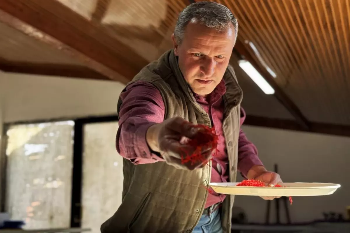 AB tescilli üründe hasat sürüyor, gramı 600 TL'ye dayandı