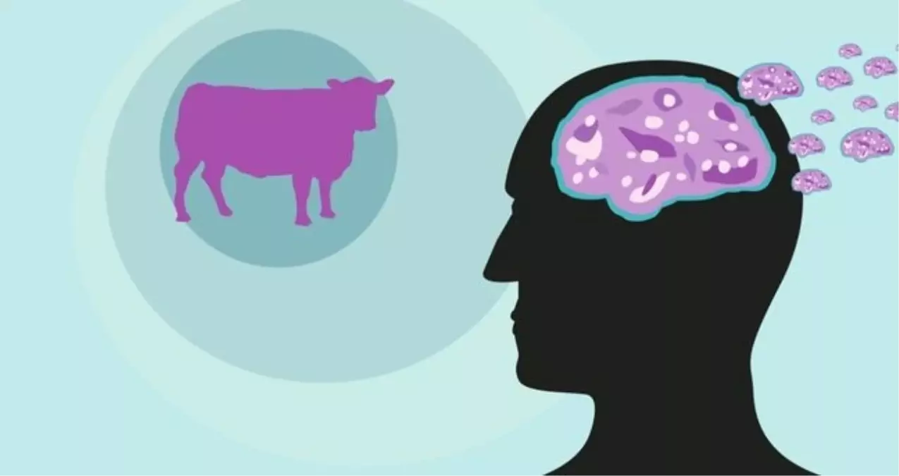 Deli dana hastalığı nedir, belirtileri neler? Deli dana hastalığı insana nasıl bulaşır?