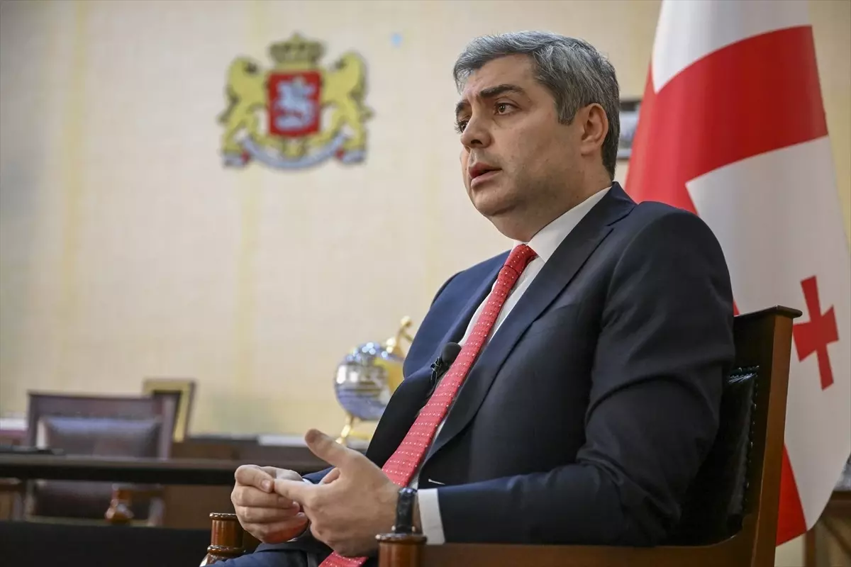 Gürcistan'ın Ankara Büyükelçisi Kalandia, Türkiye ile istikrar ve barışa hizmet ettiklerini söyledi Açıklaması