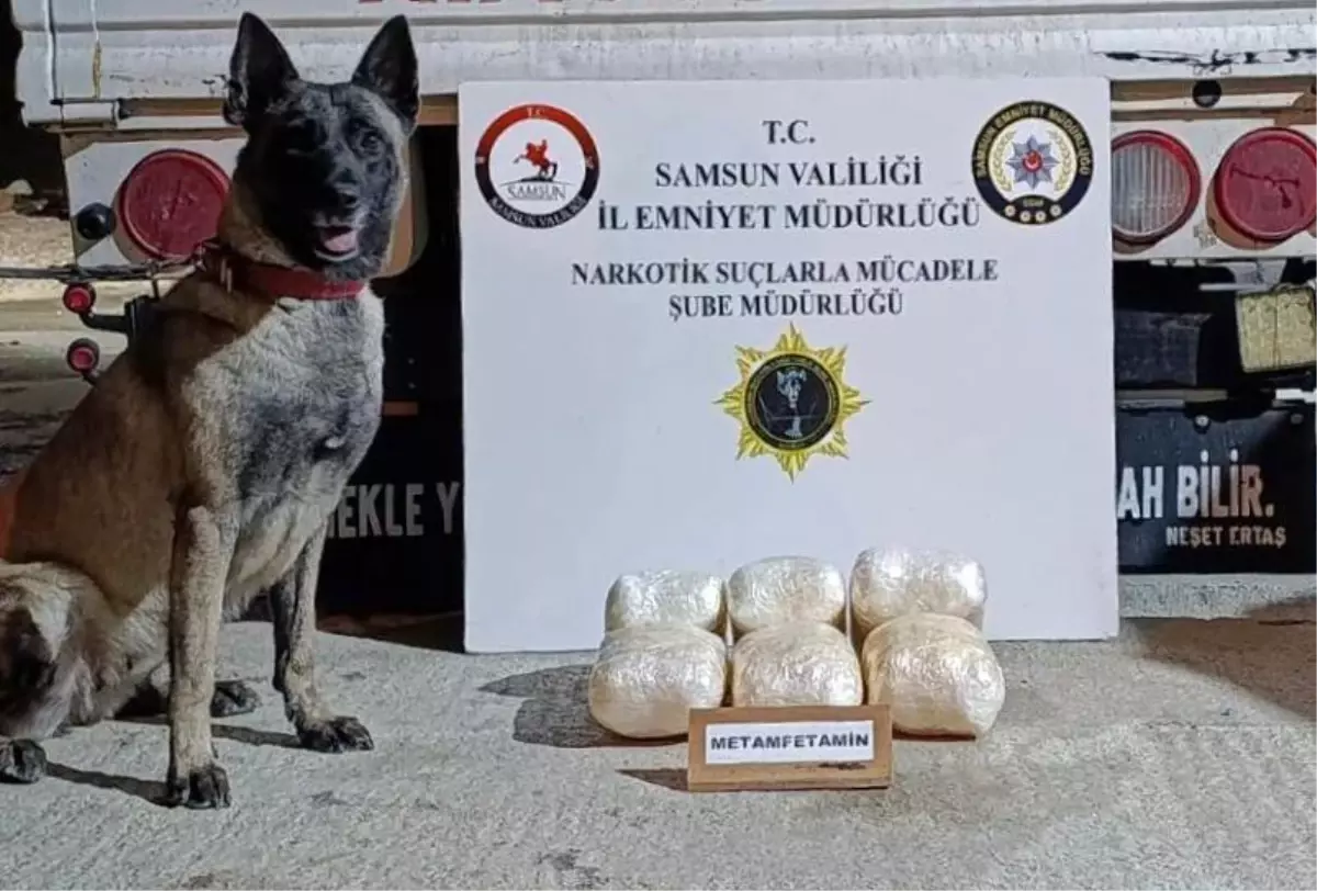 Samsun'da Narkotik Köpeği Şila, Uyuşturucu Maddeyi Buldu