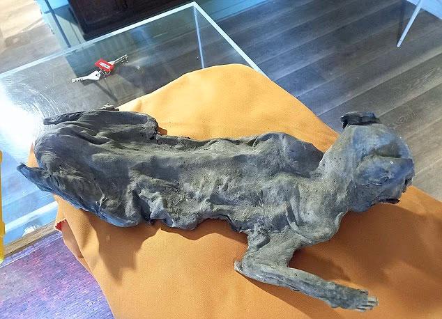 kilisenin duvarlari arasindan cikti tarihcileri 19202961 3267 m