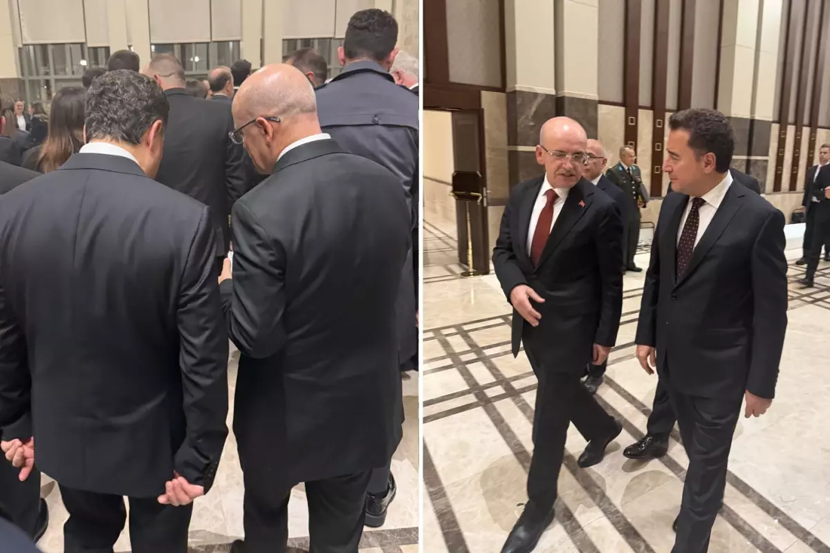 Mehmet Şimşek ve Ali Babacan'ın ne konuştukları ortaya çıktı