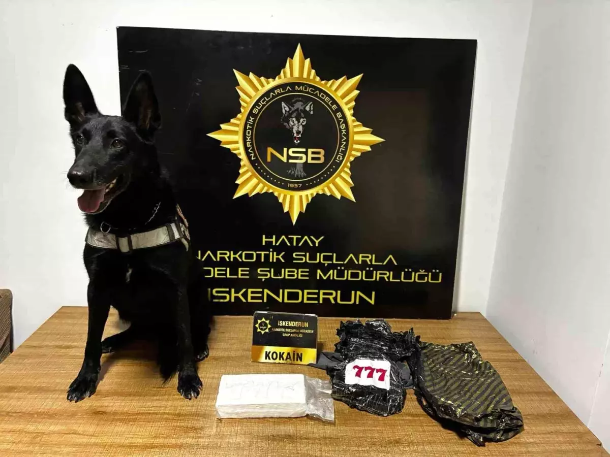 Hatay'da Operasyon: 5.5 Milyon TL Değerinde Uyuşturucu Ele Geçirildi