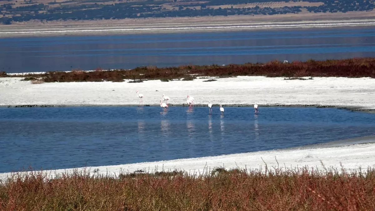 Prof. Dr. İskender Gülle: Göllerimiz İklim Değişikliği ve Yoğun Su Kullanımı Nedeniyle Küçülüyor