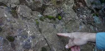 Sındırgı'daki deprem fırtınası sonrası korkutan tespit: Ölü faylar canlandı