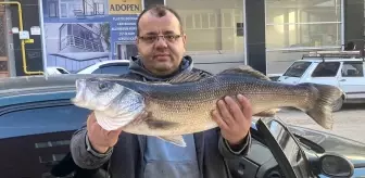 Amatör Balıkçı, Sinop'ta 6 Kilogramlık Levrek Yakaladı