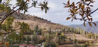 Hizan İlçesi, Sonbaharda Doğa Tutkunlarının Gözdesi