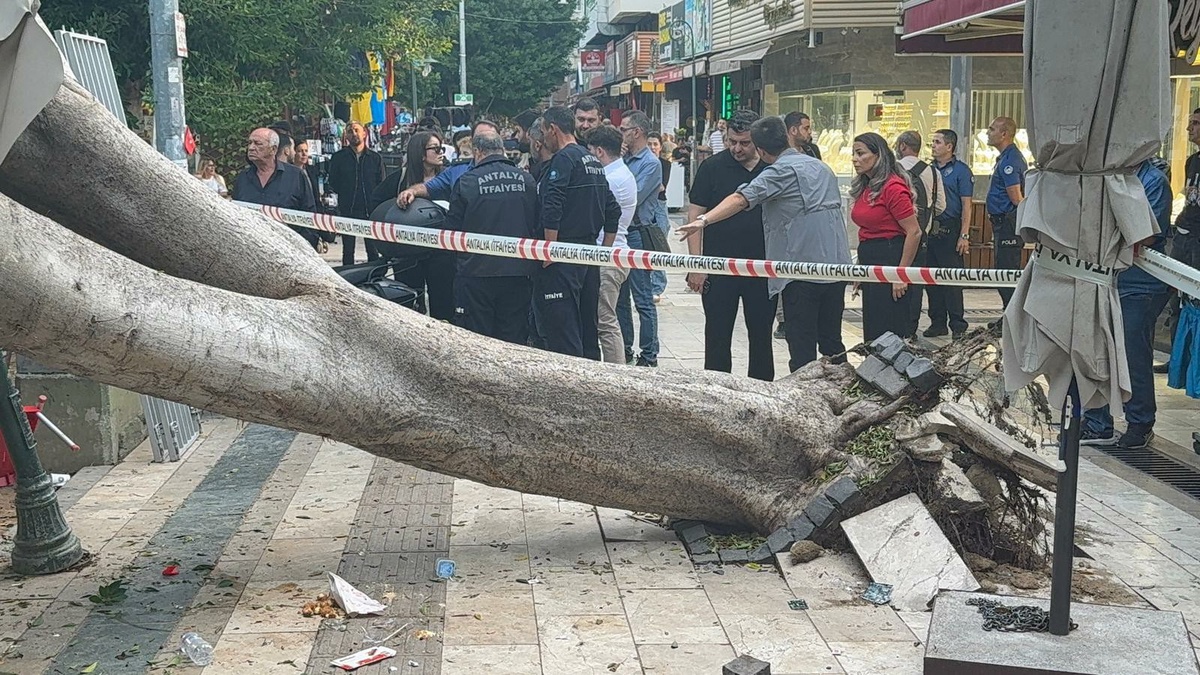 Antalya'da Devrilen Ağaç 5 Otomobile Zarar Verdi