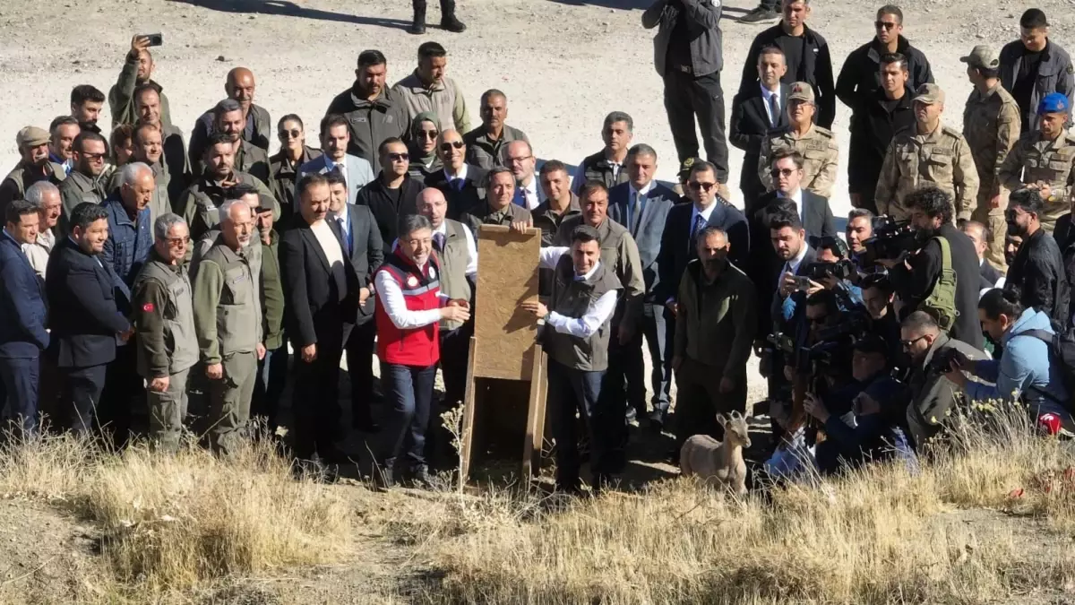 Bakan Yumaklı, Munzur Vadisi'nde Yaban Hayatını Doğaya Saldı