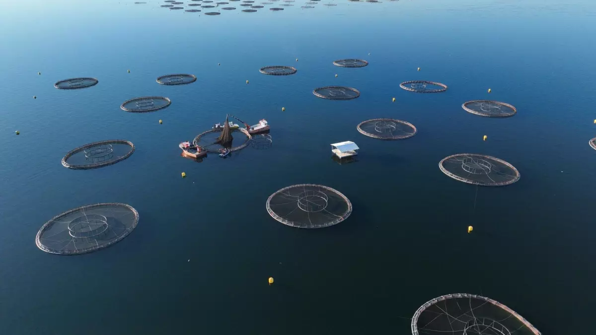 Bakan Yumaklı, Mersin Balığı Üretim Tesislerini Ziyaret Etti