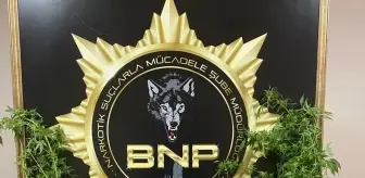 Bayburt'ta Uyuşturucu Operasyonu: 276 Gram Esrar Ele Geçirildi