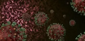 DSÖ'den M çiçeği uyarısı: Kıtayı aştı, hızla kontrol altına alınmalı