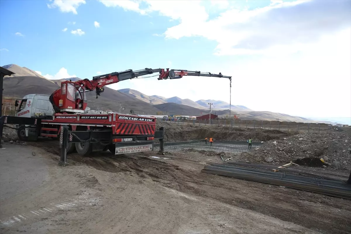 Erzurum'da Sokak Hayvanları için Modern Barınak ve Doğal Yaşam Alanı