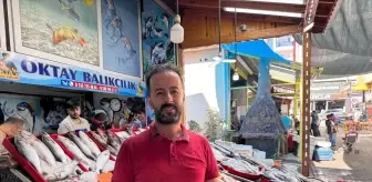 Dörtyol'da Tekne Halatına Dolanan Köpek Balığı Görüntülendi