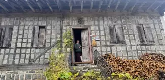 Arılı Köyü: Geleneksel Mimari ve Doğal Güzelliklerle Dolu Bir Açık Hava Müzesi