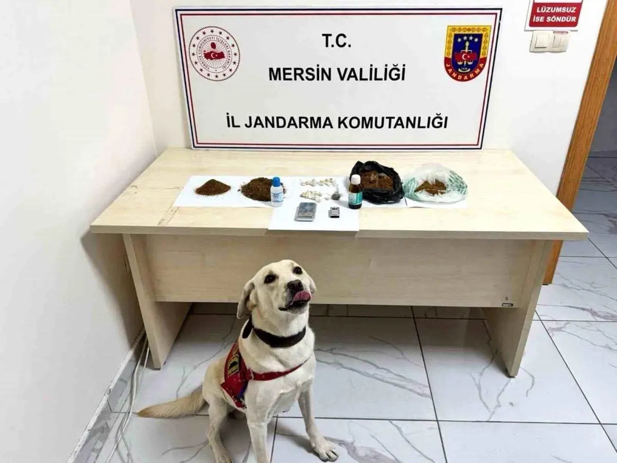 Mersin'de Uyuşturucu Ticareti Yapan 5 Şüpheli Tutuklandı