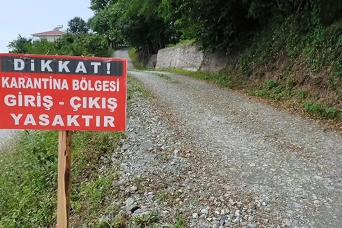 O kentimizde şap hastalığı paniği! Çok sayıda mahalle karantinaya alındı