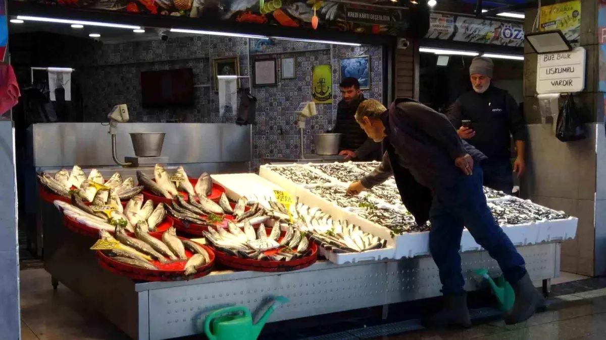 Palamut Avında Hayal Kırıklığı: Balıkçılar Umutlarını Seneye Bıraktı