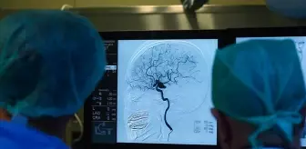 Türkiye'de yıllar sonra 2 vaka görüldü! Tedavisi yok, komaya götürüyor