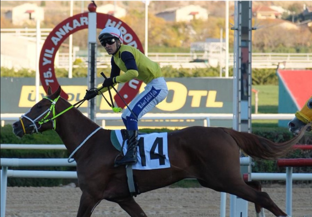 at yarislarinda cumhuriyet ve cumhurbaskanligi 19209539 2508 m