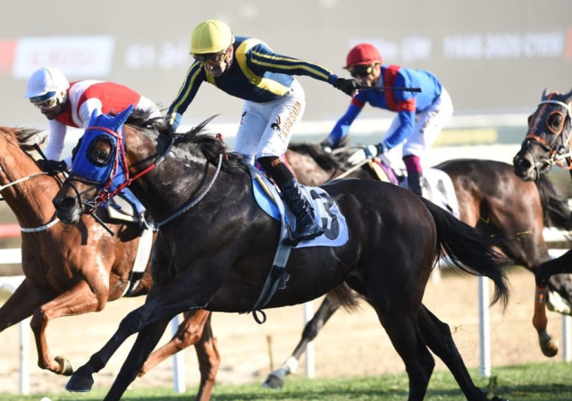 at yarislarinda cumhuriyet ve cumhurbaskanligi 19209539 3779 m