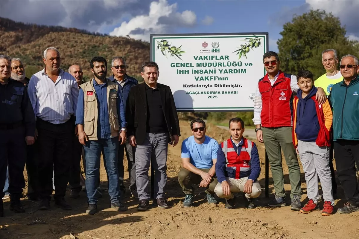 İHH, Orman Yangınlarından Etkilenen Çiftçilere Zeytin Fidanı Desteği Sağlayacak