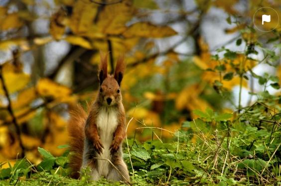 Kasım mesajları! En güzel Kasım sözleri ve mesajları! Kasım mesajları! En güzel Kasım sözleri ve mesajları!