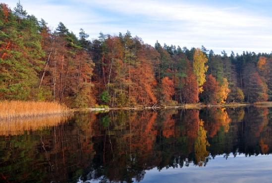 Kasım mesajları! En güzel Kasım sözleri ve mesajları! Kasım mesajları! En güzel Kasım sözleri ve mesajları!