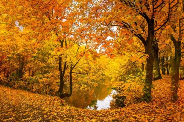 Kasım mesajları! En güzel Kasım sözleri ve mesajları! Kasım mesajları! En güzel Kasım sözleri ve mesajları!