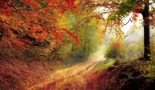 Kasım mesajları! En güzel Kasım sözleri ve mesajları! Kasım mesajları! En güzel Kasım sözleri ve mesajları!