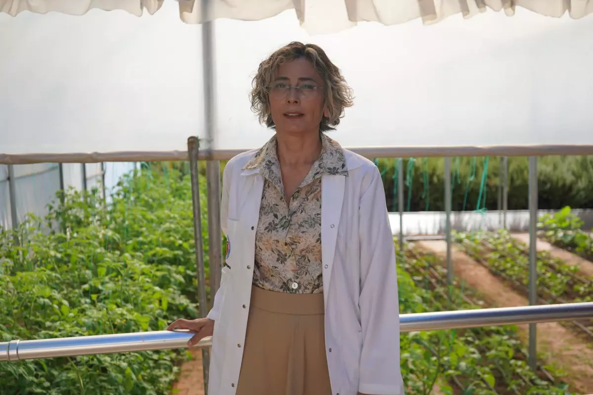 Akdeniz Üniversitesi&apos;nde Psikiyatri Gündüz Hastanesi&apos;nde Rehabilitasyon Projesi